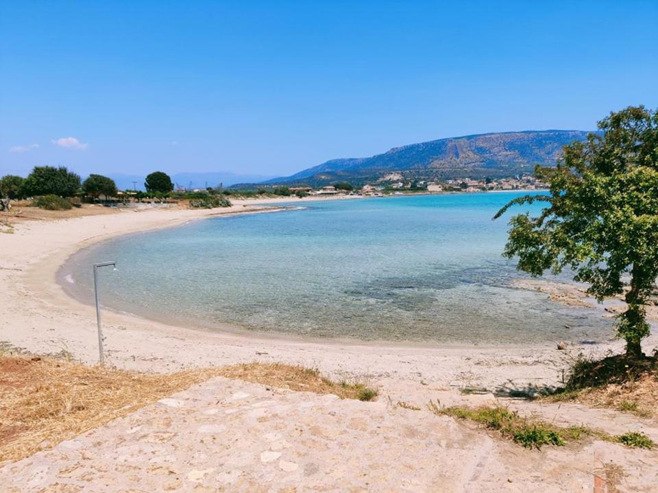 Seasight Living Apartment Plítra Dış mekan fotoğraf